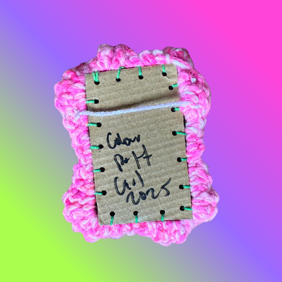 Magic Mushroom Wall Hanging #2